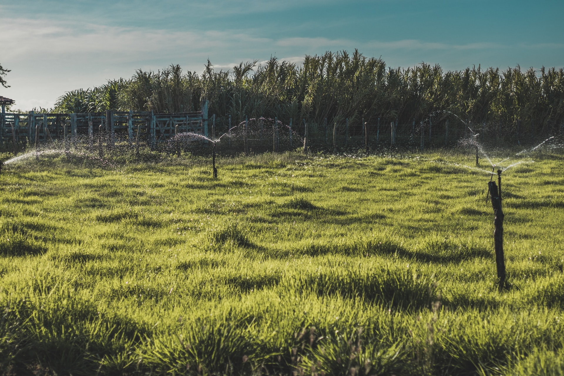 pexels-carlos-henrique-10605816